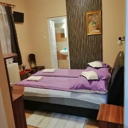 Πανσιόν Bakonybeli Patakpart Vendeghaz